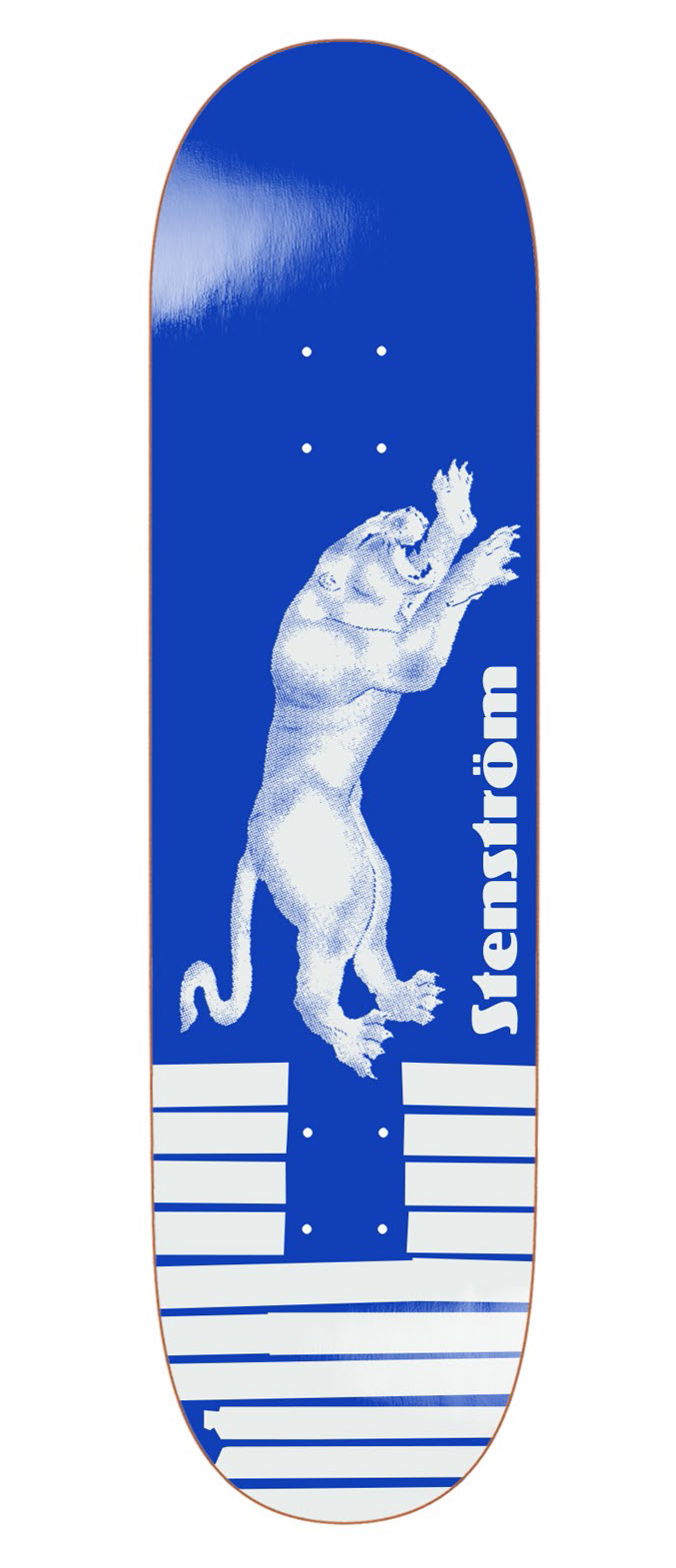 David Stenström - Tape & Panther (Blue) - 8.25" (Short)